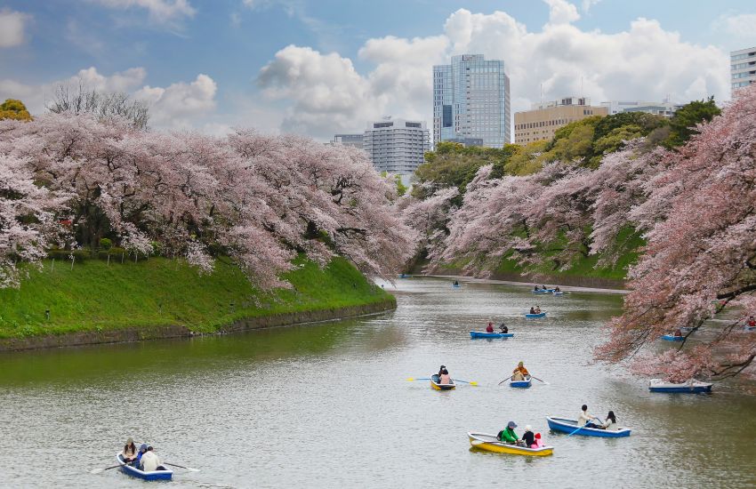 千代田區是位於東京都中心的區域。