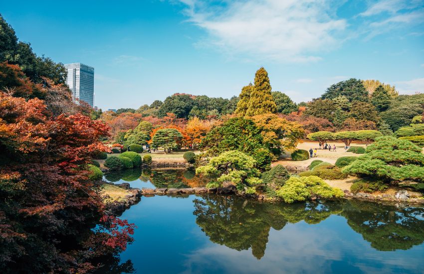 新宿御苑是日本東京都橫跨新宿區與澀谷區的庭園，面積58.3公頃。該處在江戶時代為內藤家的宅地；其後成為宮內廳管理的庭園，現在則屬環境省管轄的國民公園。