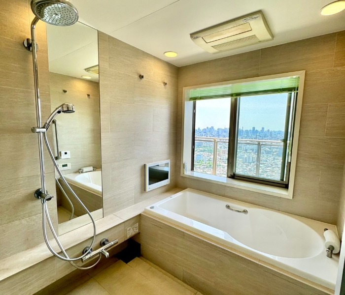 可觀賞景色的舒適衛浴空間